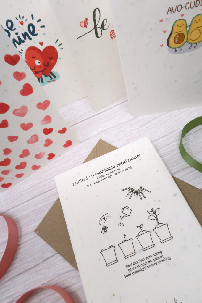 reverse side of valentine card with planting instructions