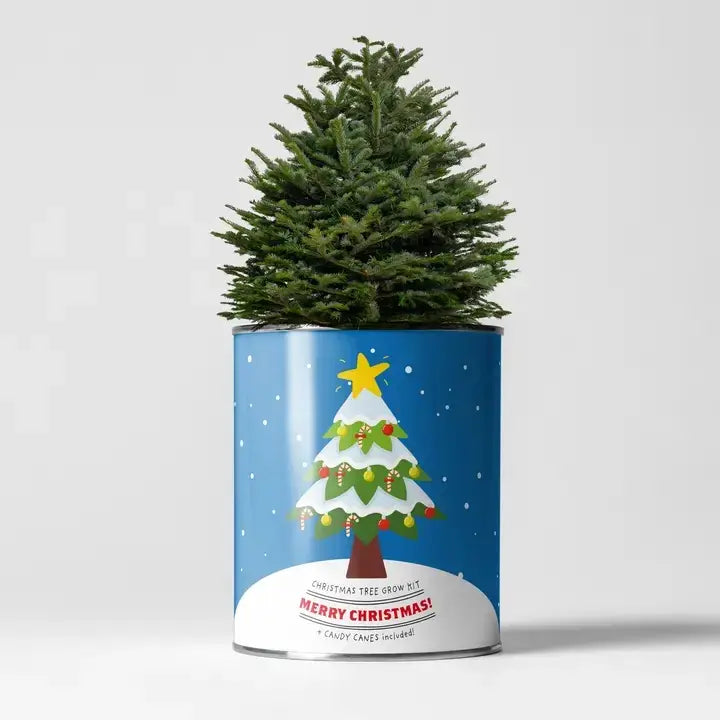Gift Ideas